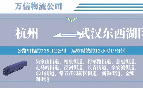 杭州到武汉东西湖区物流公司